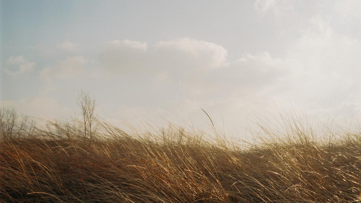 Featured image for Jas Almamater vs Jaket Gunung